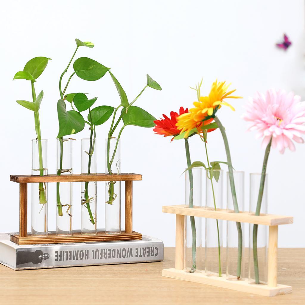 Test Tube Rack Glass Flower Va - Propagation Station Vase 评论和价格