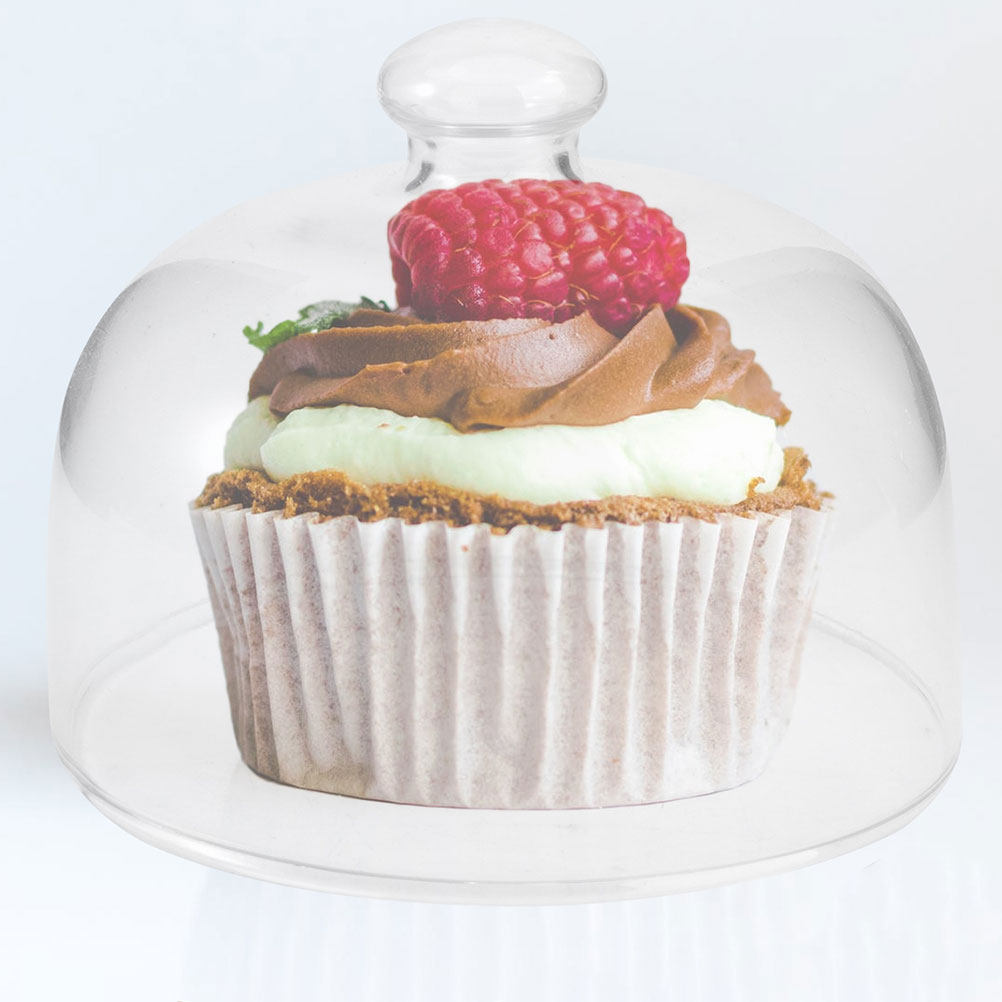 2Pcs Clear Glass Round Cake Co - Plastic Dome Clear 评论和价格