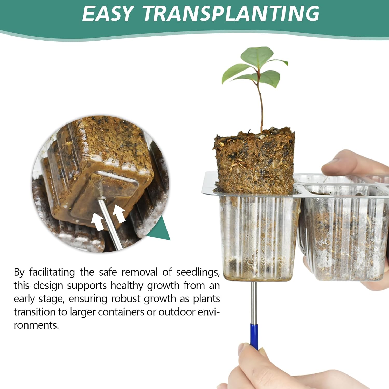 Elevated Seedling Starter Tray - Humidity Dome Kit 评论和价格