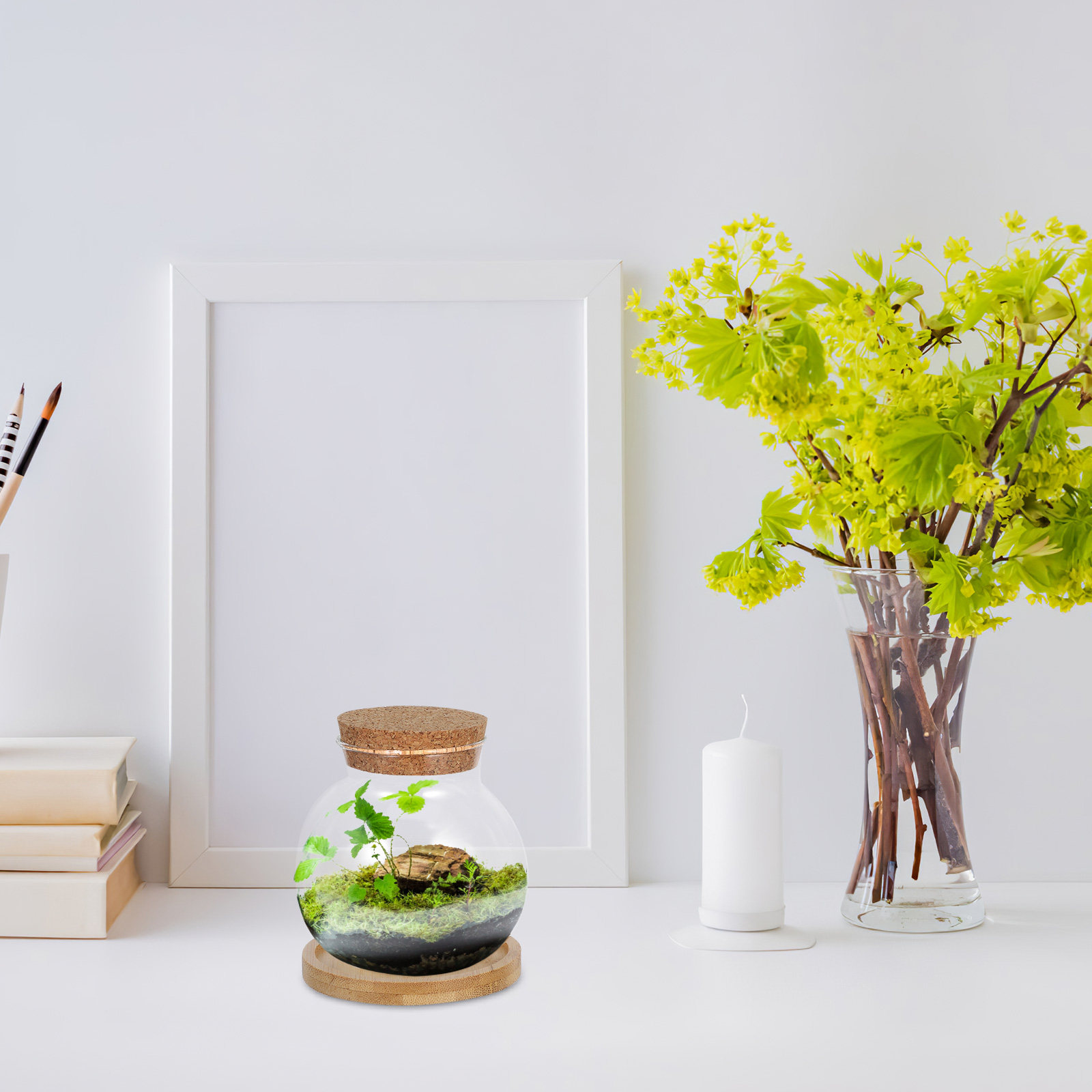 2Set Hydroponic Glass Elegant  - Propagation Station Vase 评论和价格